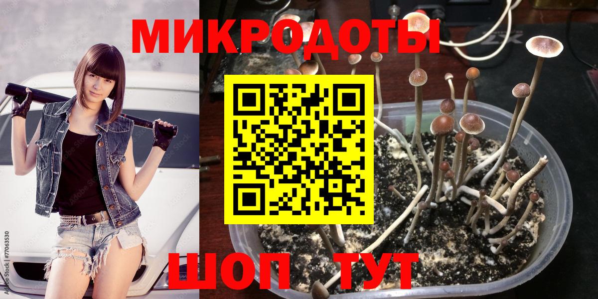 Псилоцибиновые грибы Psilocybine cubensis  Вход с VPN  Псилоцибиновые грибы Magic Shrooms  Новый Уренгой 